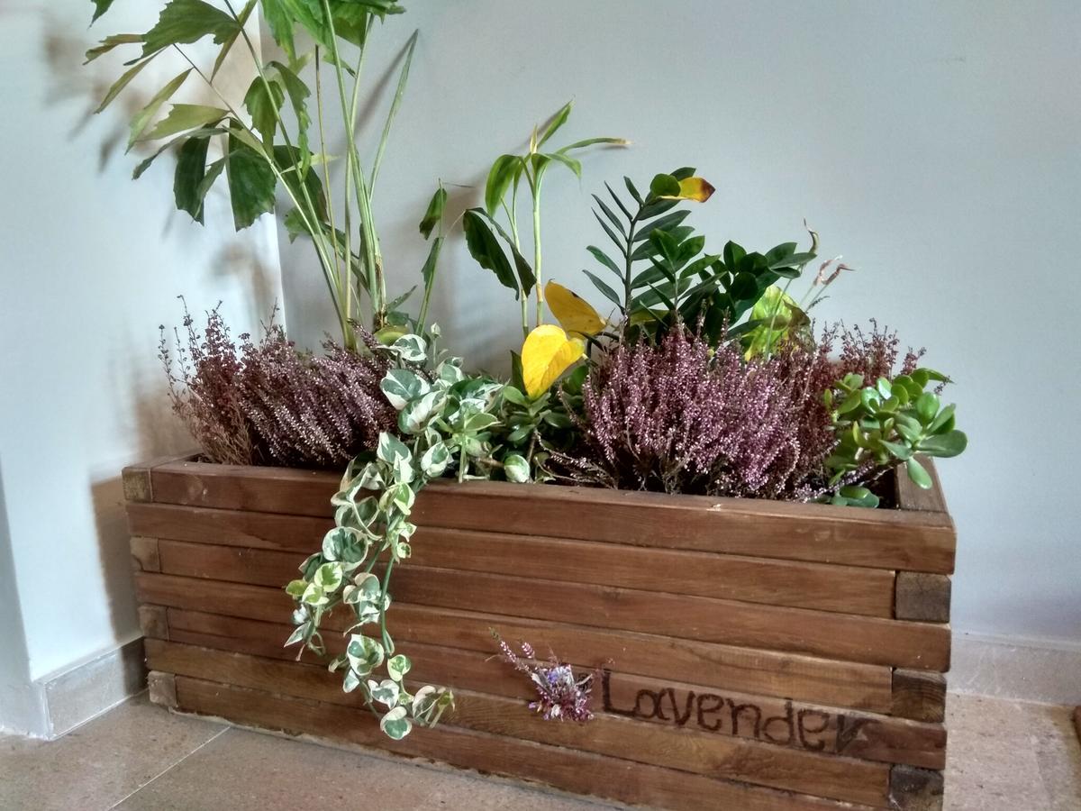 Lavender Kalamata Exterior foto